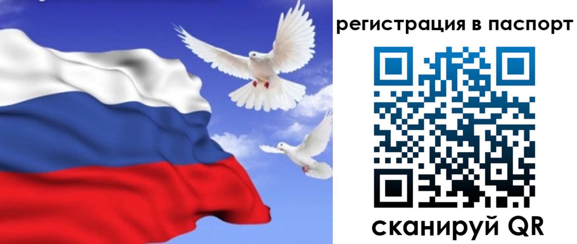 купить прописку в Зеленоградске